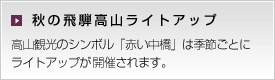 秋の飛騨高山ライトアップ